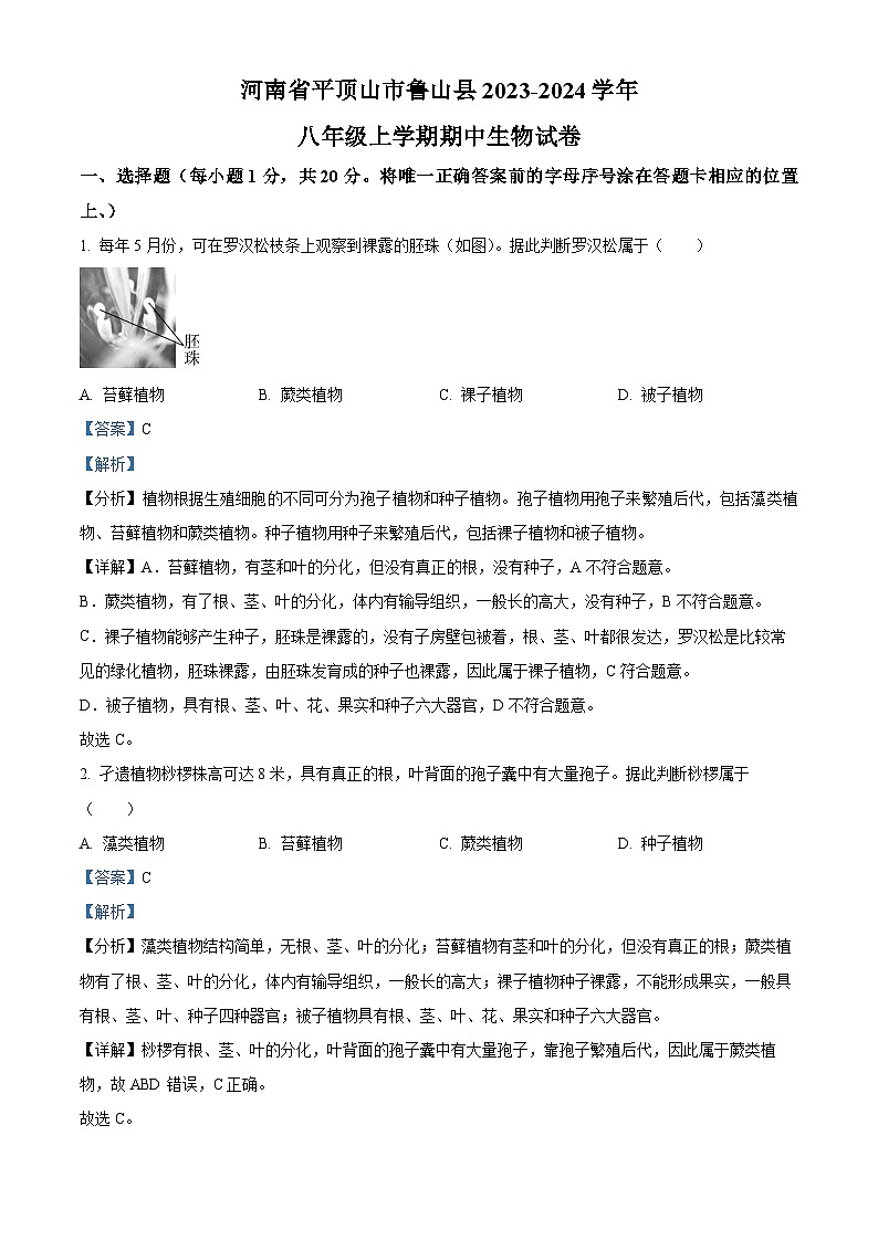 河南省平顶山市鲁山县2023-2024学年八年级上学期期中生物试题（原卷版+解析版）01