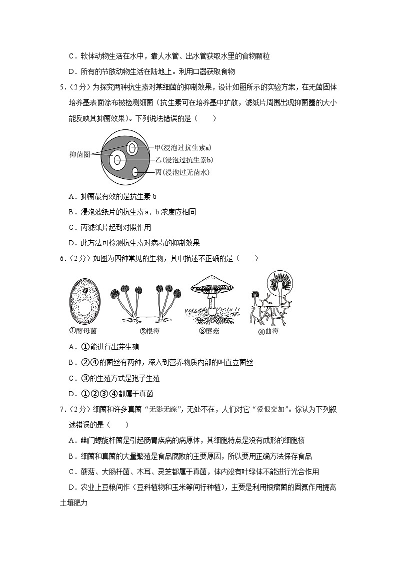 江西省南昌市2023-2024学年八年级上学期期末生物试卷02