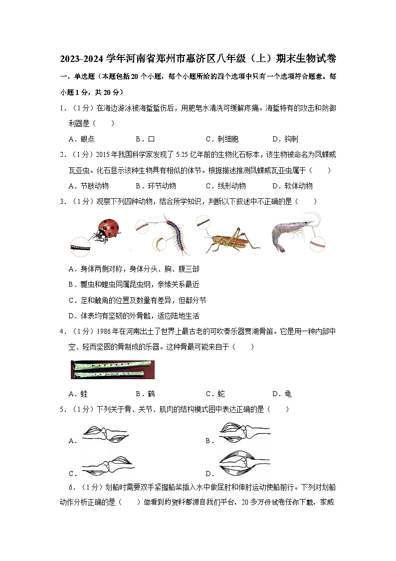 04，河南省郑州市惠济区2023-2024学年八年级上学期期末生物试卷01