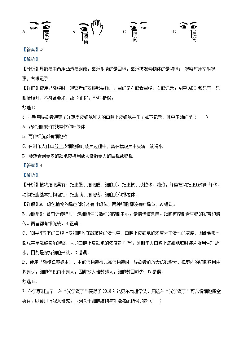 06，辽宁省盘锦市兴隆台区2022-2023学年七年级上学期期末生物试题03