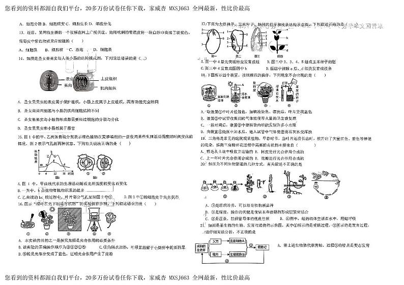 60，山东省东营市文华学校2023-2024学年八年级下学期开学考试生物试题第2页