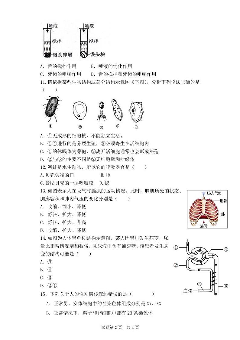 河北省沧州市青县青县第六中学2023-2024学年八年级下学期开学生物试题02