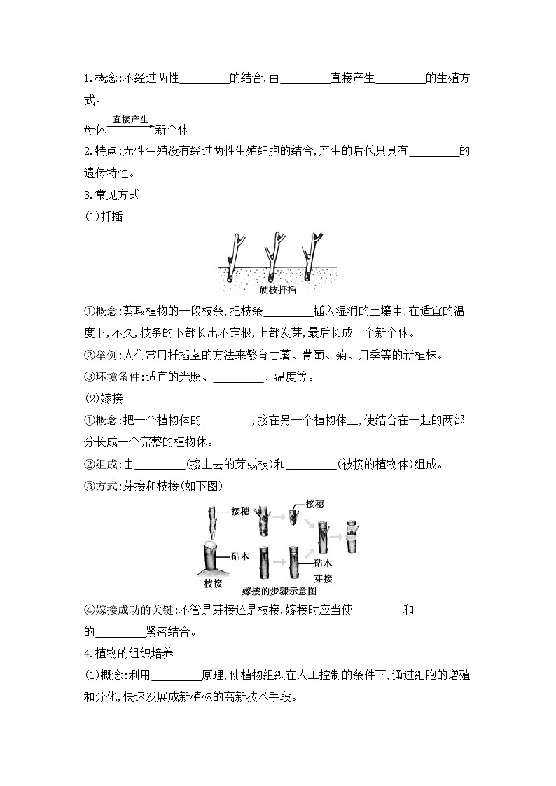 7.1.1+植物的生殖++学案-2023-2024学年人教版生物八年级下册02