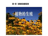 7.1.1++植物的生殖++课件-2023-2024学年人教版生物八年级下册