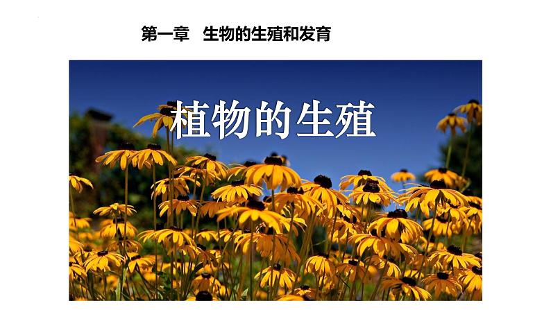 7.1.1++植物的生殖++课件-2023-2024学年人教版生物八年级下册第1页