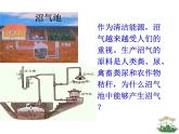 5.4.5++人类对细菌和真菌的利用++课件-2023-2024学年人教版生物八年级上册