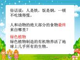 3.4++绿色植物是生物圈中有机物的制造者++课件-2023-2024学年人教版生物七年级上册