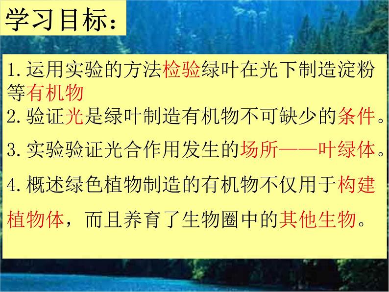 3.4++绿色植物是生物圈中有机物的制造者++课件-2023-2024学年人教版生物七年级上册04