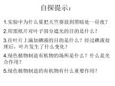 3.4++绿色植物是生物圈中有机物的制造者++课件-2023-2024学年人教版生物七年级上册