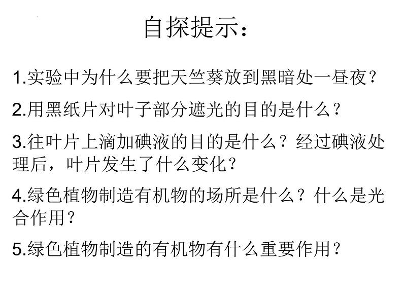 3.4++绿色植物是生物圈中有机物的制造者++课件-2023-2024学年人教版生物七年级上册05