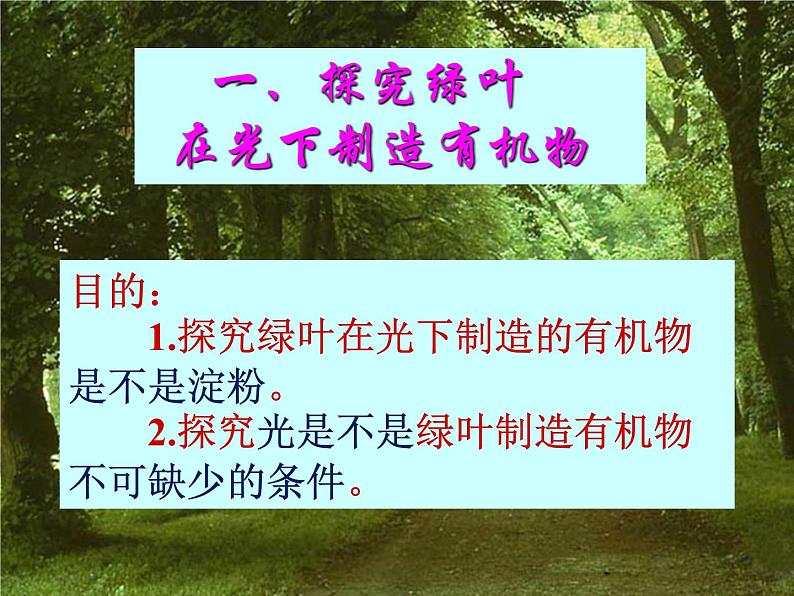 3.4++绿色植物是生物圈中有机物的制造者++课件-2023-2024学年人教版生物七年级上册06