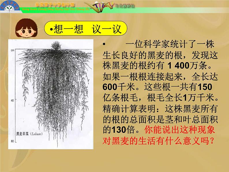 3.2.2++植株的生长++课件-2023-2024学年人教版生物七年级上册第3页