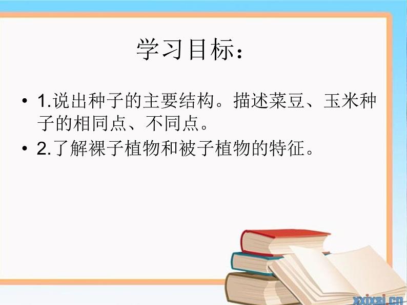 3.1.2++种子植物++课件-2023-2024学年人教版生物七年级上册03