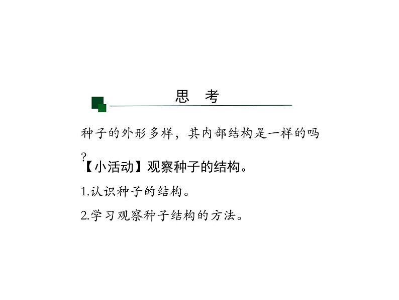 3.1.2++种子植物++课件-2023-2024学年人教版生物七年级上册06