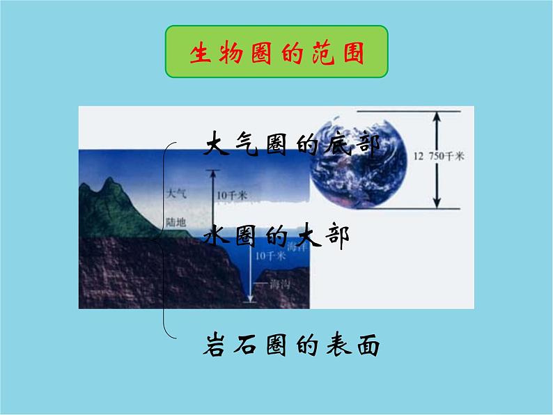 1.2.3++生物圈是最大的生态系统++课件-2023-2024学年人教版生物七年级上册第6页