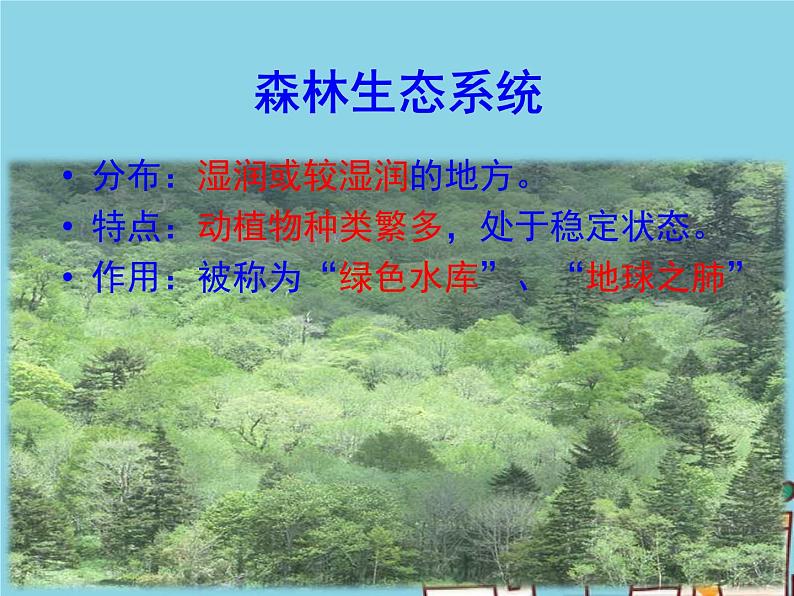 1.2.3++生物圈是最大的生态系统++课件-2023-2024学年人教版生物七年级上册第8页