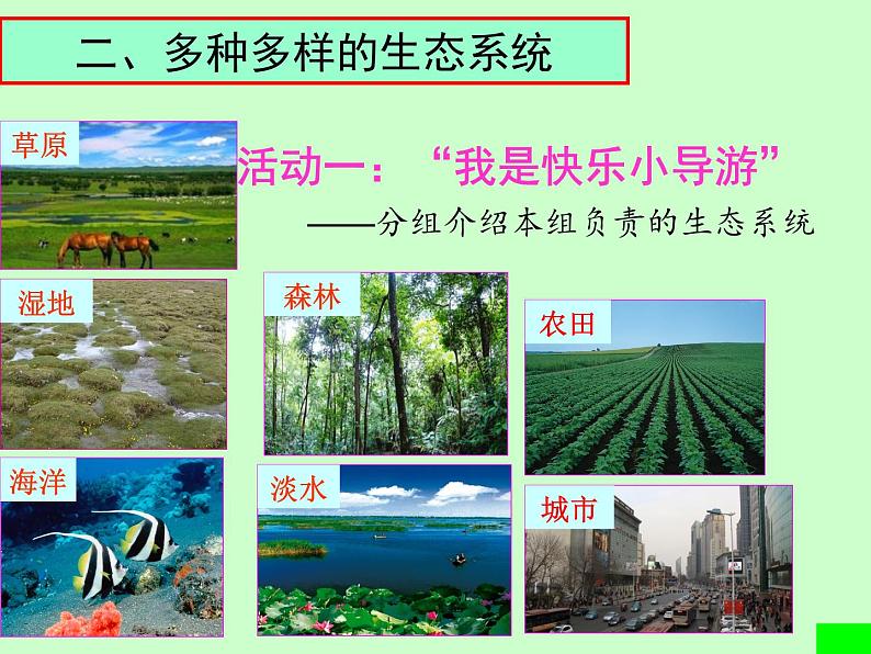 1.2.3++生物圈是最大的生态系统++课件-2023-2024学年人教版生物七年级上册 (1)05