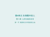 苏教版生物七年级下册全册课件