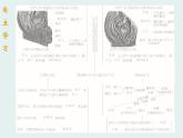 苏教版生物七年级下册全册课件