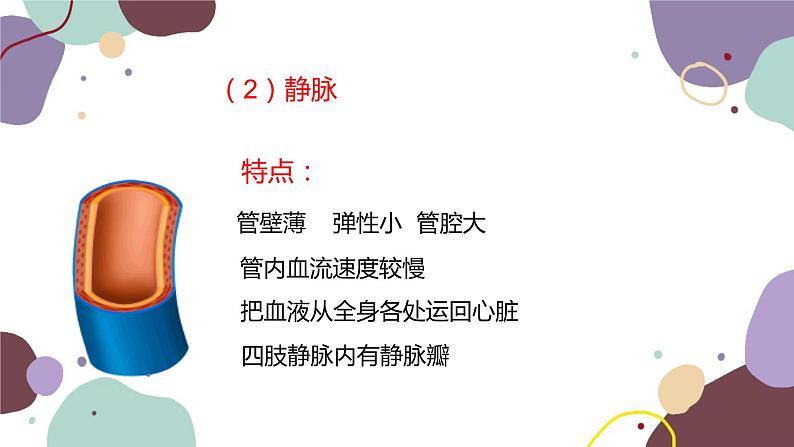 苏教版生物七年级下册第十章 人体的血液循环 第一课时课件08