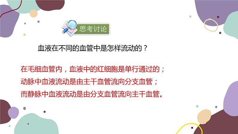 苏教版生物七年级下册第十章 人体的血液循环 第二课时课件07