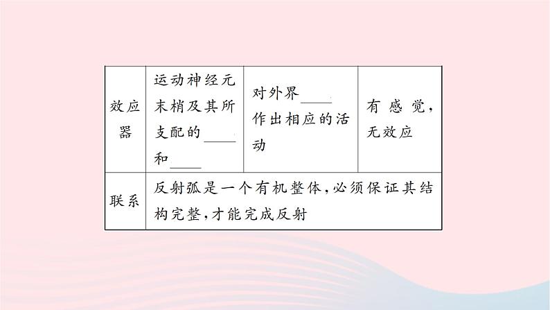 2024七年级生物下册第四单元生物圈中的人第六章人体生命活动的调节第三节神经调节的基本方式作业课件新版新人教版第5页