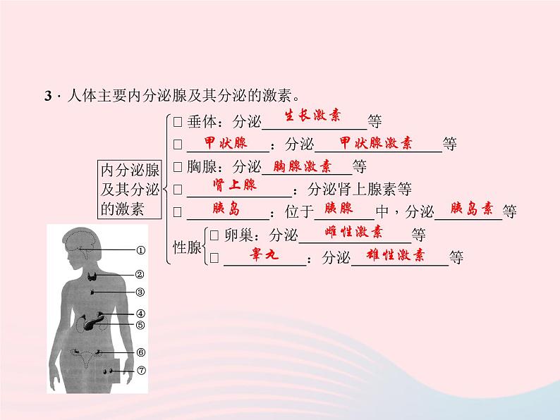 2024七年级生物下册第四单元生物圈中的人第六章人体生命活动的调节第四节激素调节作业课件新版新人教版 (1)04