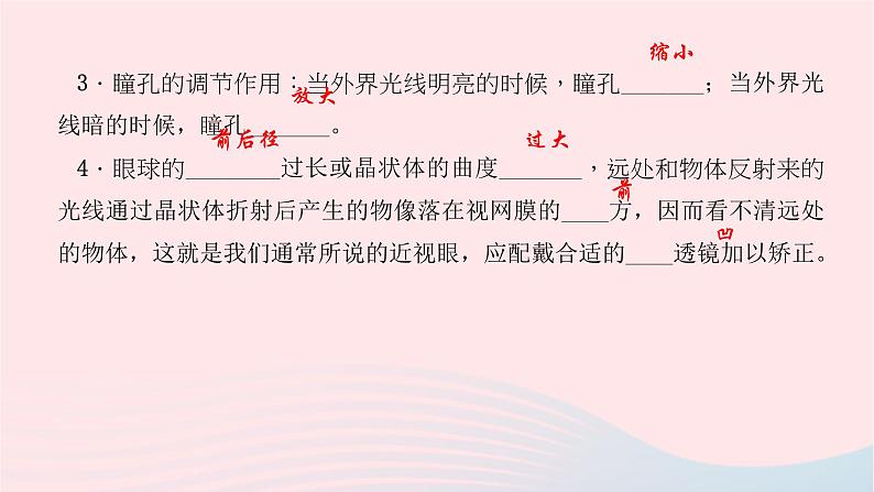 2024七年级生物下册第四单元生物圈中的人第六章人体生命活动的调节第一节人体对外界环境的感知作业课件新版新人教版 (1)第5页