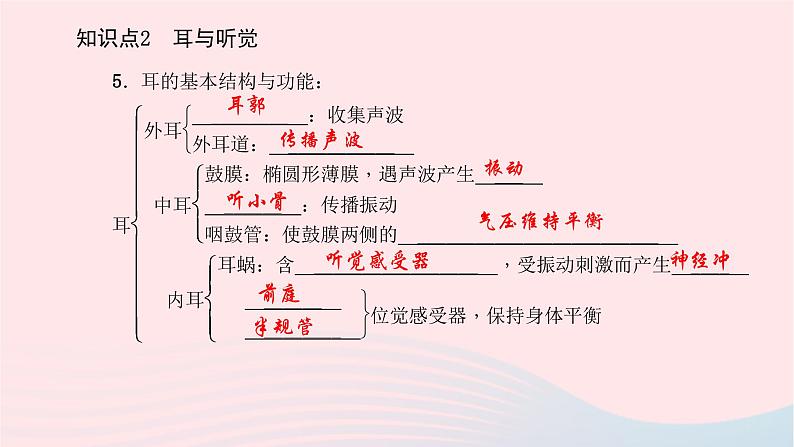 2024七年级生物下册第四单元生物圈中的人第六章人体生命活动的调节第一节人体对外界环境的感知作业课件新版新人教版 (1)第6页