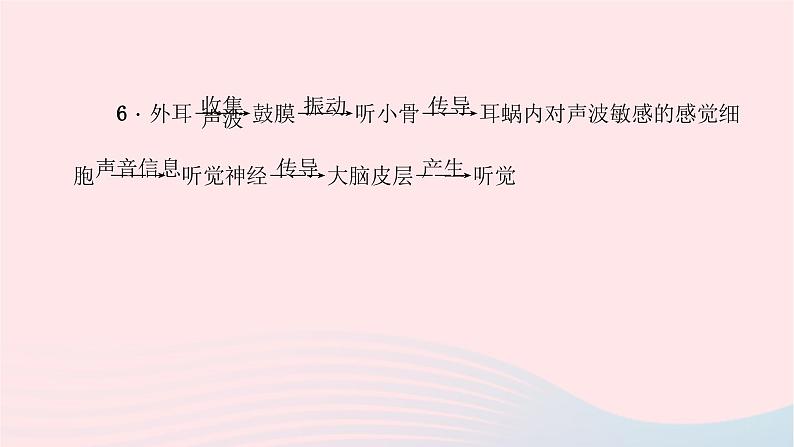 2024七年级生物下册第四单元生物圈中的人第六章人体生命活动的调节第一节人体对外界环境的感知作业课件新版新人教版 (1)第7页