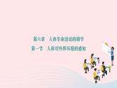 2024七年级生物下册第四单元生物圈中的人第六章人体生命活动的调节第一节人体对外界环境的感知作业课件新版新人教版