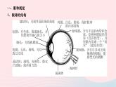 2024七年级生物下册第四单元生物圈中的人第六章人体生命活动的调节第一节人体对外界环境的感知作业课件新版新人教版