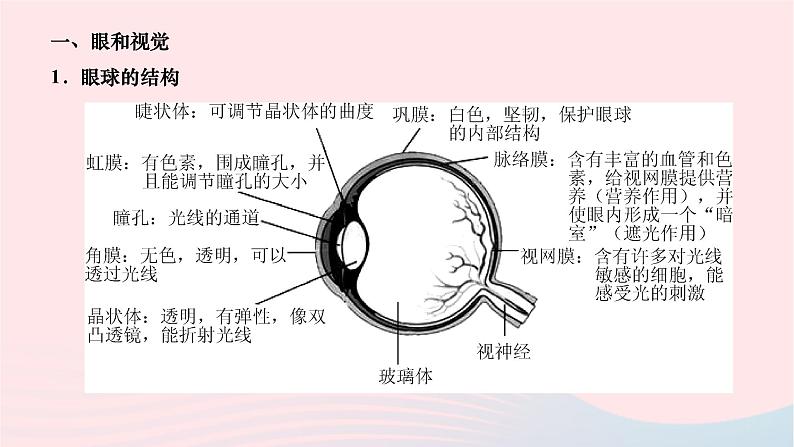 2024七年级生物下册第四单元生物圈中的人第六章人体生命活动的调节第一节人体对外界环境的感知作业课件新版新人教版第2页