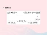 2024七年级生物下册第四单元生物圈中的人第六章人体生命活动的调节第一节人体对外界环境的感知作业课件新版新人教版