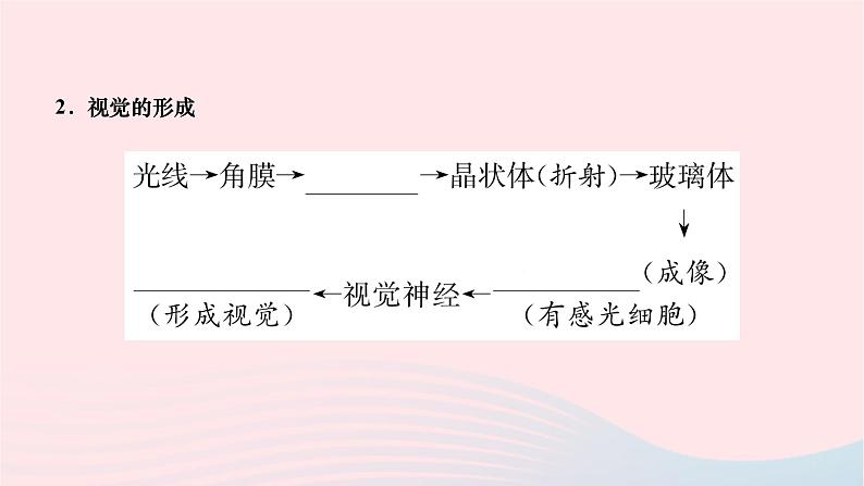 2024七年级生物下册第四单元生物圈中的人第六章人体生命活动的调节第一节人体对外界环境的感知作业课件新版新人教版第3页