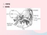 2024七年级生物下册第四单元生物圈中的人第六章人体生命活动的调节第一节人体对外界环境的感知作业课件新版新人教版