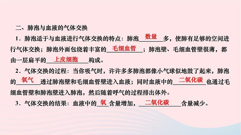 2024七年级生物下册第四单元生物圈中的人第三章人体的呼吸第二节发生在肺内的气体交换作业课件新版新人教版03