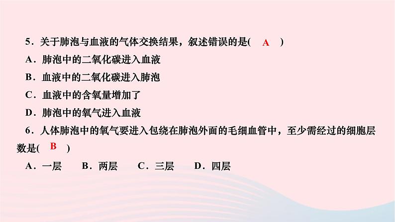 2024七年级生物下册第四单元生物圈中的人第三章人体的呼吸第二节发生在肺内的气体交换作业课件新版新人教版08