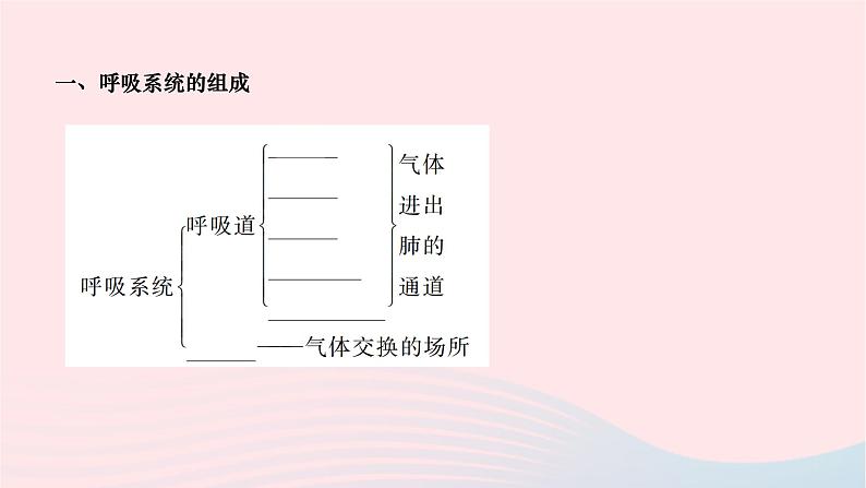 2024七年级生物下册第四单元生物圈中的人第三章人体的呼吸第一节呼吸道对空气的处理作业课件新版新人教版02