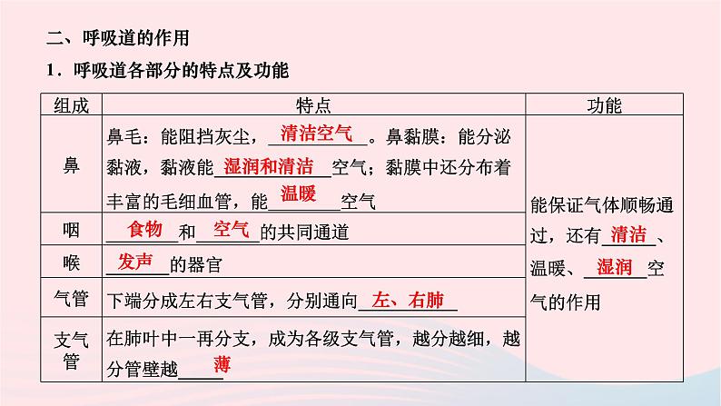 2024七年级生物下册第四单元生物圈中的人第三章人体的呼吸第一节呼吸道对空气的处理作业课件新版新人教版03