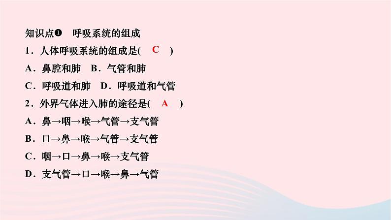 2024七年级生物下册第四单元生物圈中的人第三章人体的呼吸第一节呼吸道对空气的处理作业课件新版新人教版05