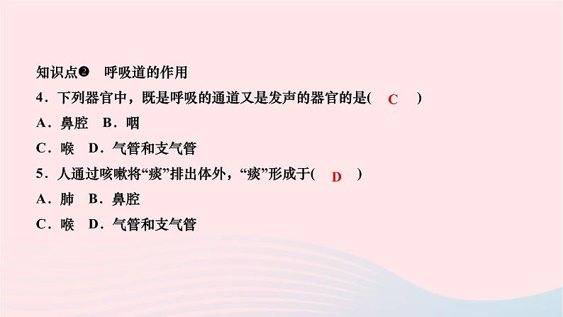 2024七年级生物下册第四单元生物圈中的人第三章人体的呼吸第一节呼吸道对空气的处理作业课件新版新人教版07
