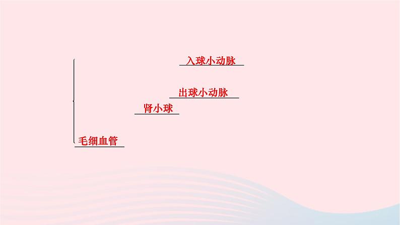 2024七年级生物下册第四单元生物圈中的人第五章人体内废物的排出作业课件新版新人教版第5页