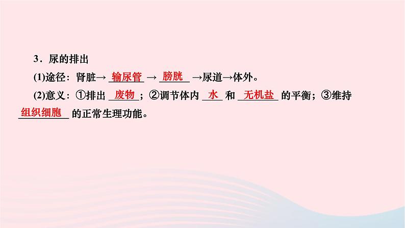 2024七年级生物下册第四单元生物圈中的人第五章人体内废物的排出作业课件新版新人教版第8页