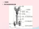 2024七年级生物下册第四单元生物圈中的人第一章人的由来第二节人的生殖作业课件新版新人教版