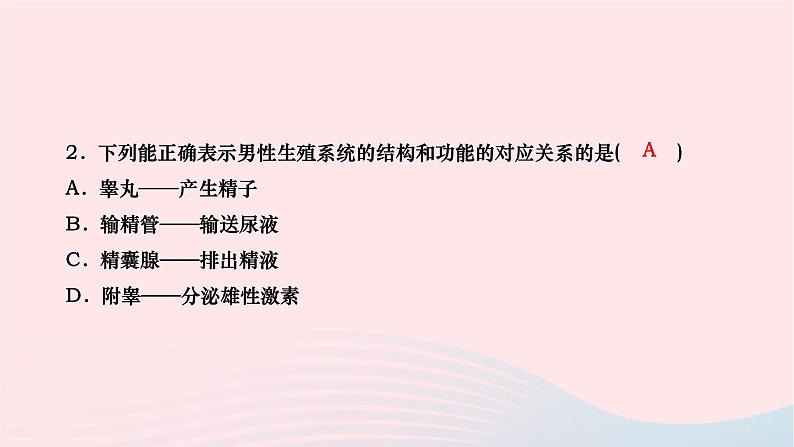 2024七年级生物下册第四单元生物圈中的人第一章人的由来第二节人的生殖作业课件新版新人教版第7页