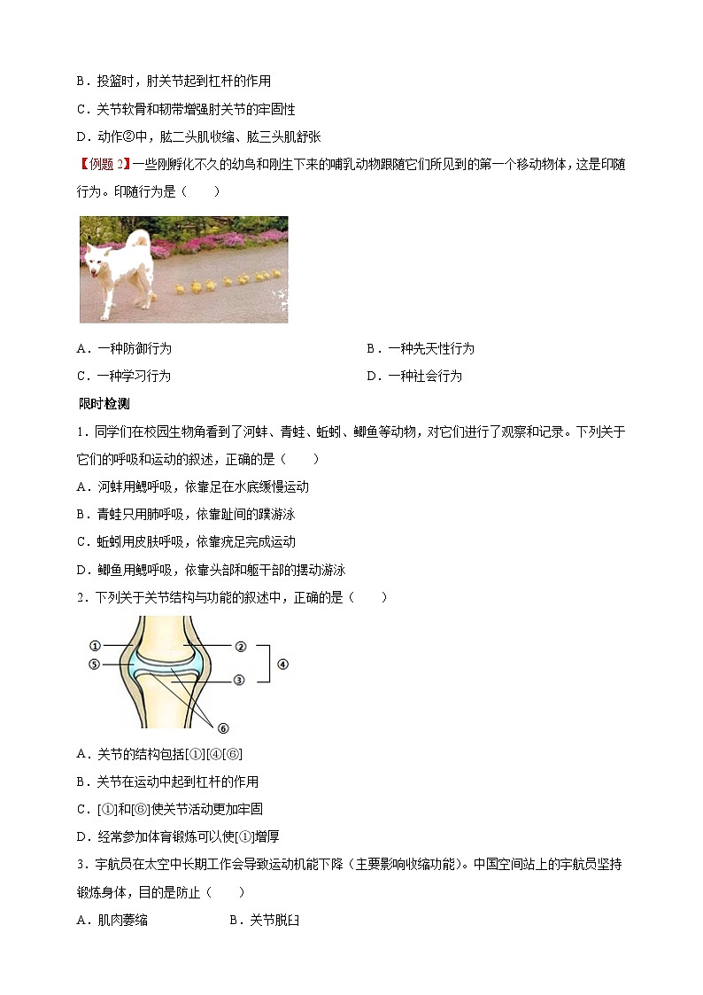 06 动物的运动和行为-中考生物练习（附答案和解析）03