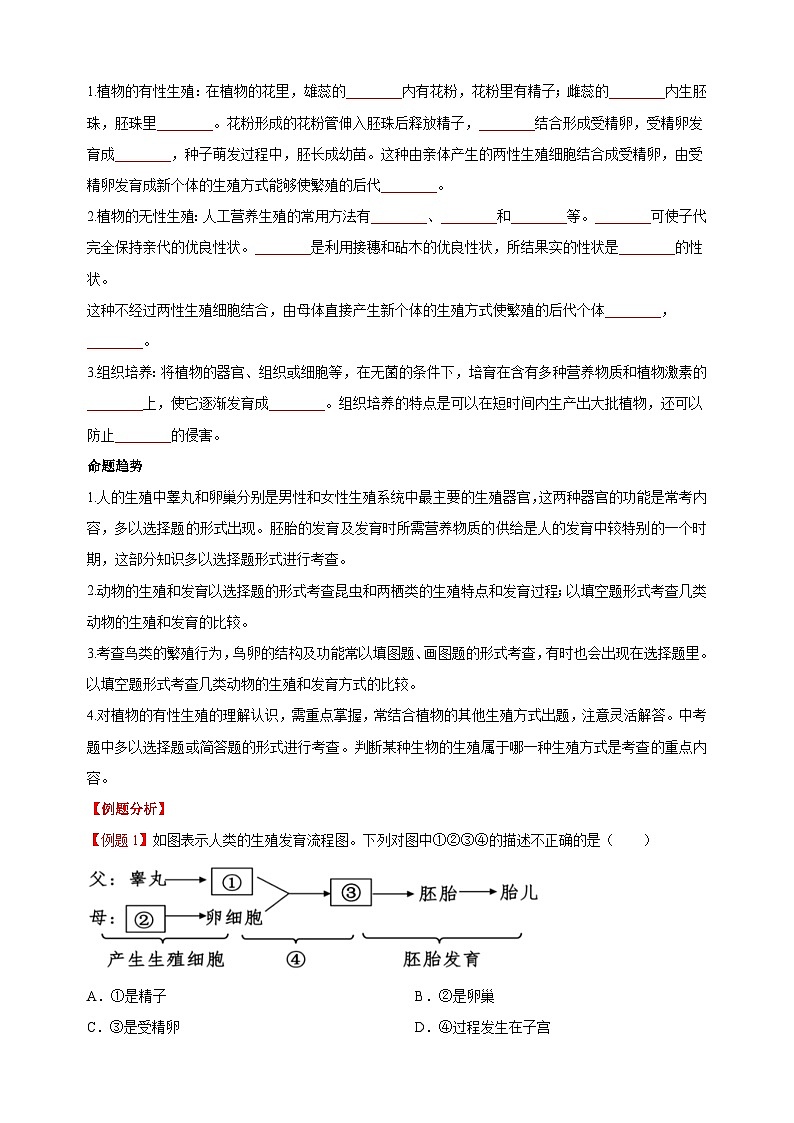 07 生物的生殖、发育与遗传变异（一）-中考生物练习（附答案和解析）02