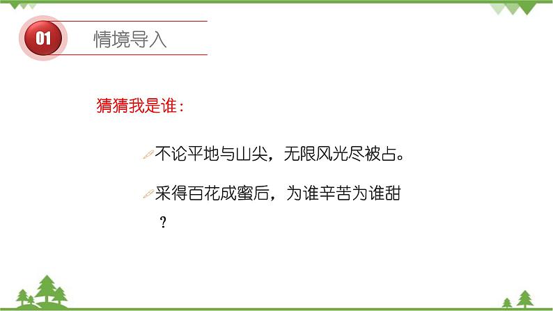 苏教版生物八年级下册 第二十一章 第二节 植物的有性生殖第一课时课件02