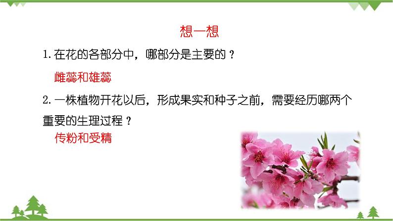 苏教版生物八年级下册 第二十一章 第二节 植物的有性生殖第一课时课件05